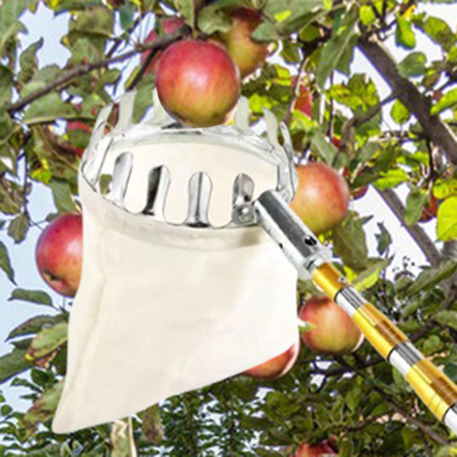 Agriculture Farming Practices - Stainless Steel Fruit Picker Agricultural Hardware