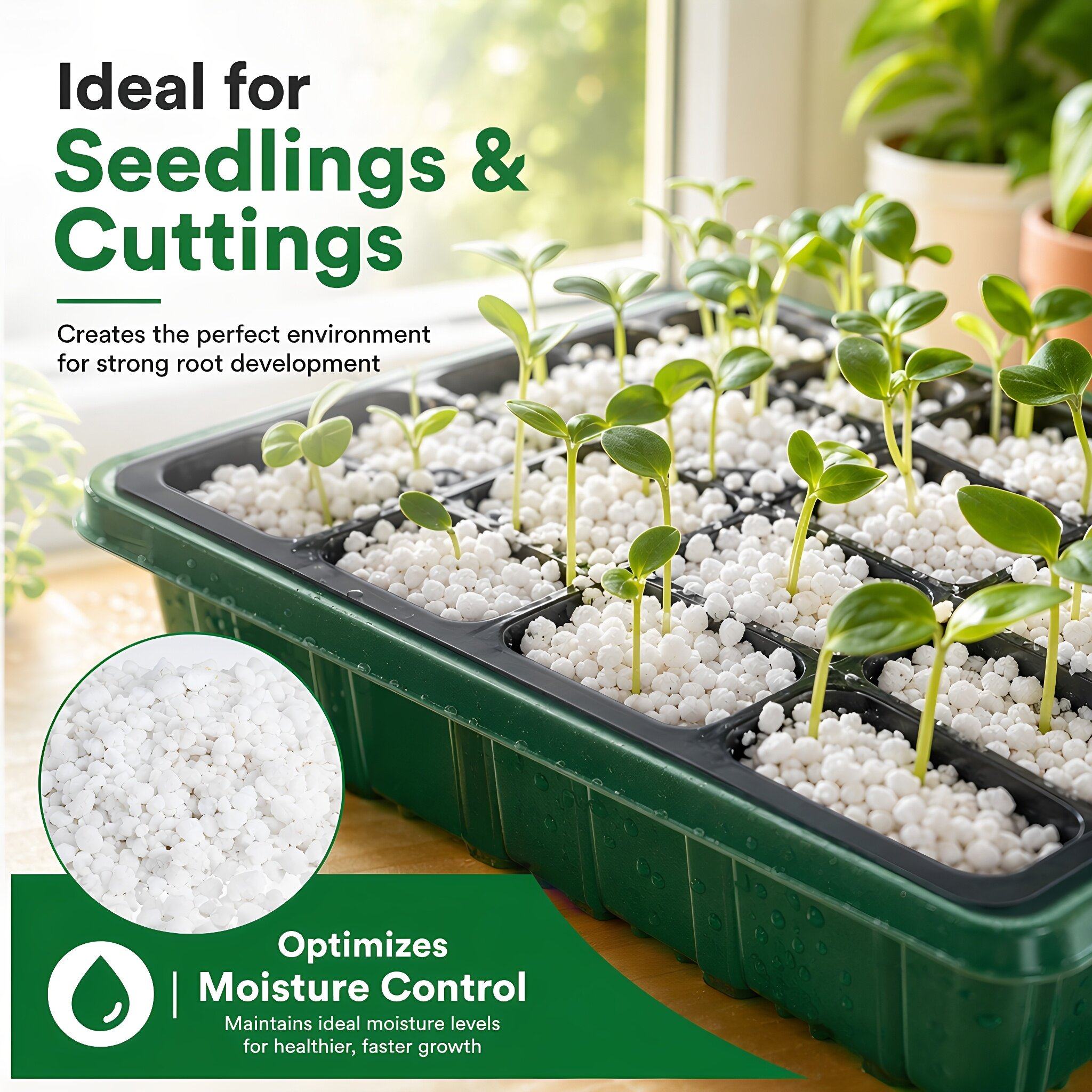 5 Quarts Horticultural Perlite - đánh giá và giá Horticulture Soil Perlite
