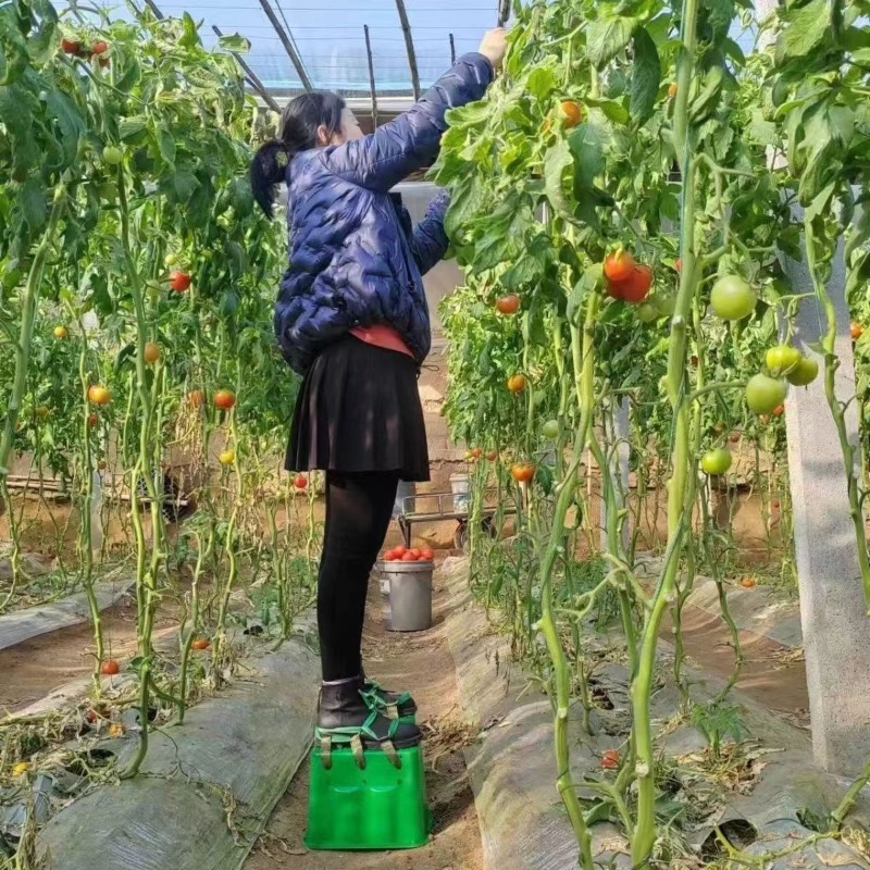 Greenhouse Farm Heightening St - đánh giá và giá Agriculture Farming Shoes