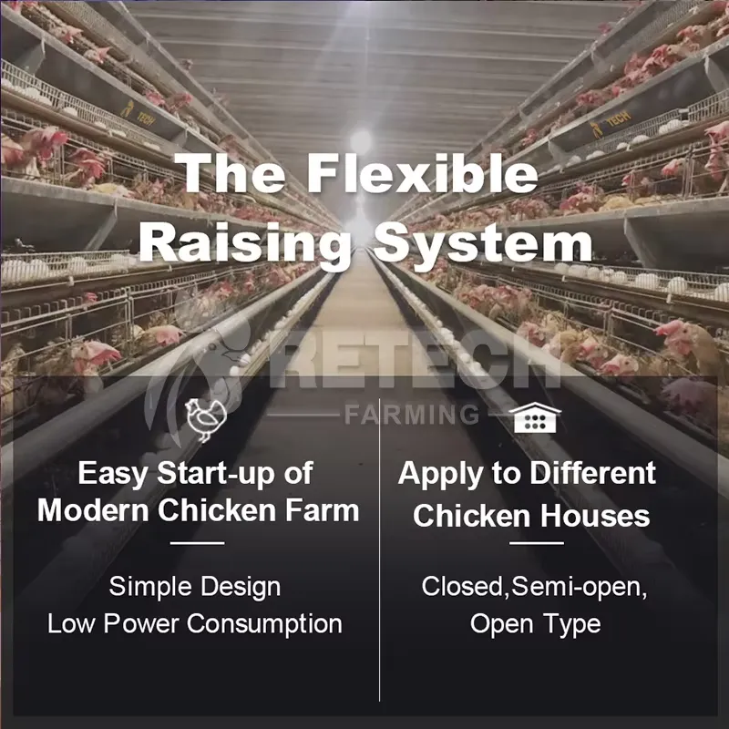 Automatic Layer Chicken Cage A - đánh giá và giá Farming Africa