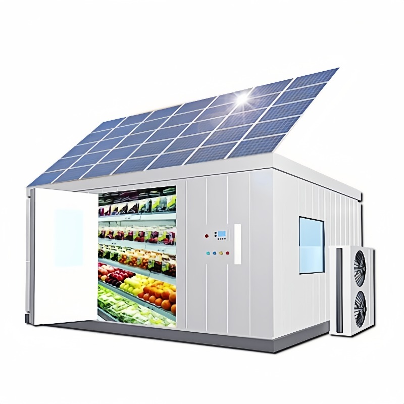 Solar Walk in Cold Storage Roo - đánh giá và giá Farming Africa