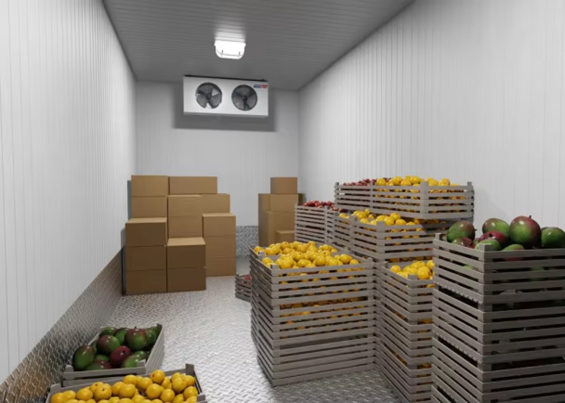 Solar Walk in Cold Storage Roo - đánh giá và giá Farming Africa