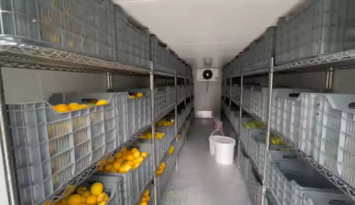 Solar Walk in Cold Storage Roo - đánh giá và giá Farming Africa