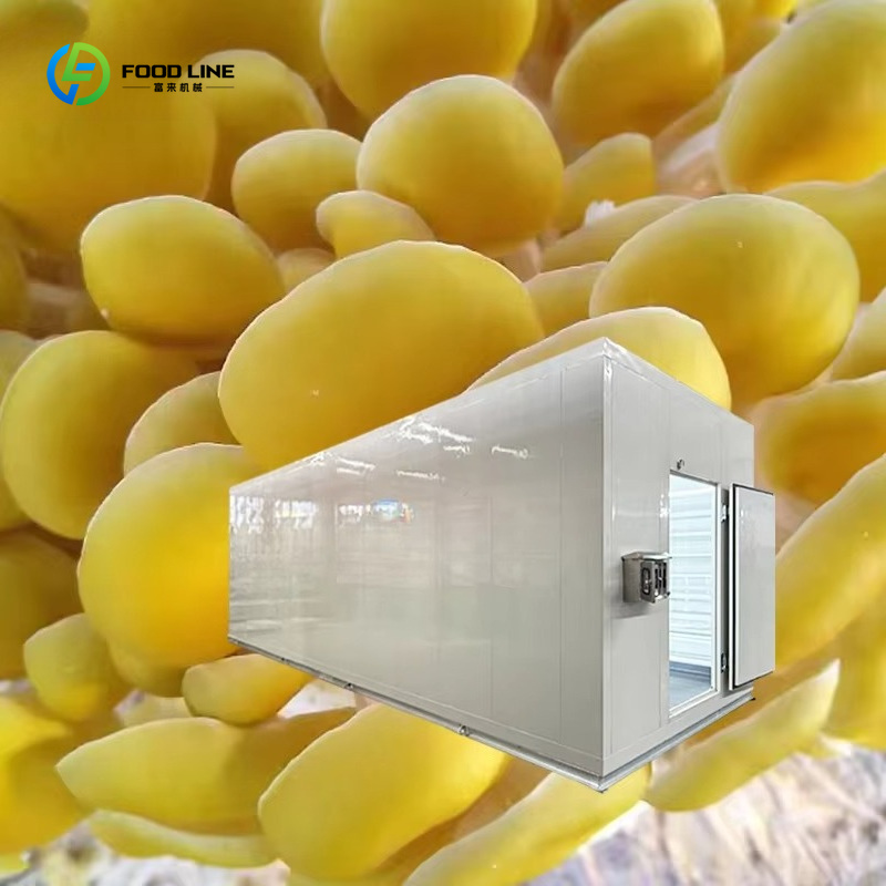 Smart Mushroom Growing Capsule - đánh giá và giá Agriculture Farming Technology