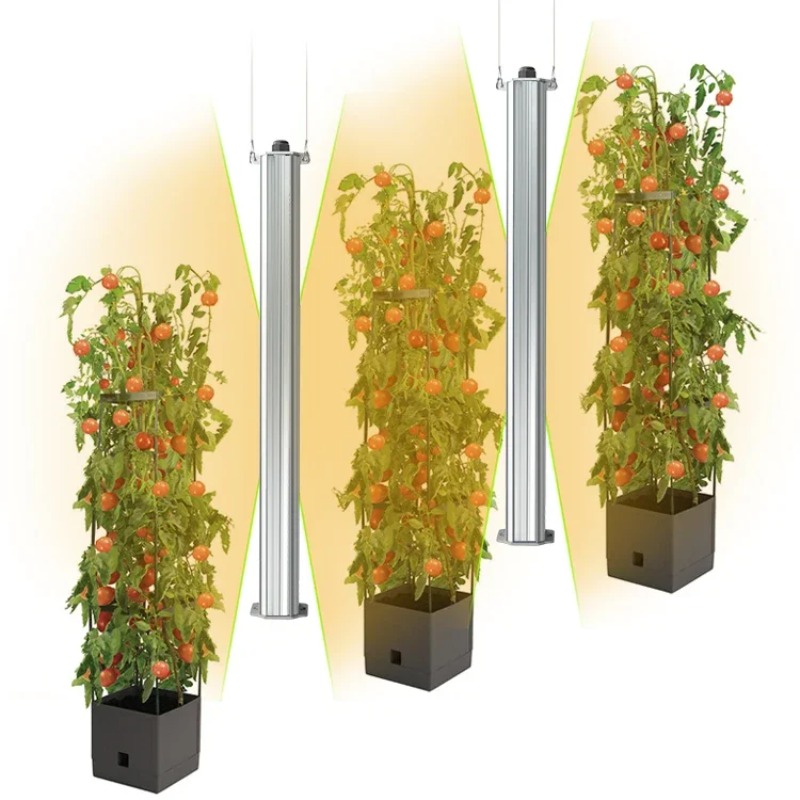 Best ETL Listed Plant Green Wa - đánh giá và giá List Of Agriculture Farming