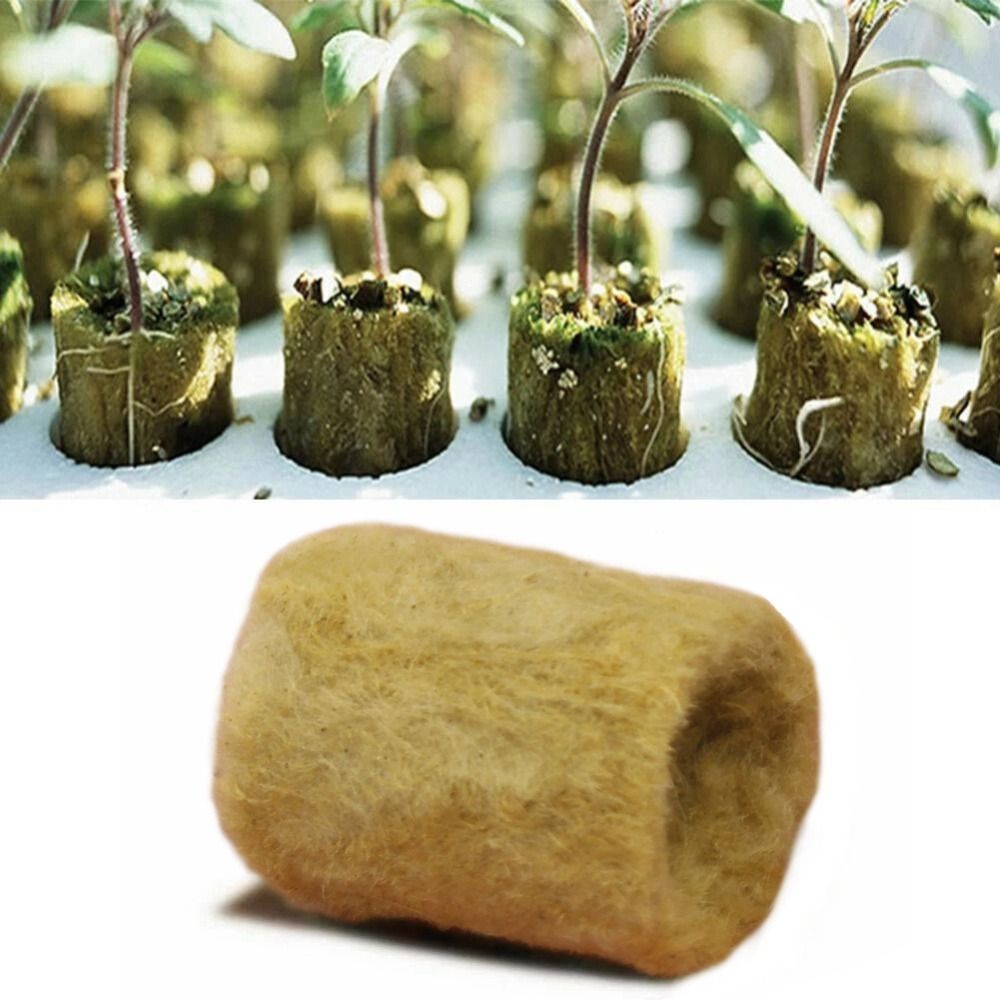 50PCS 27*20mm Size Hydroponic  - đánh giá và giá Nursery Plug Tray