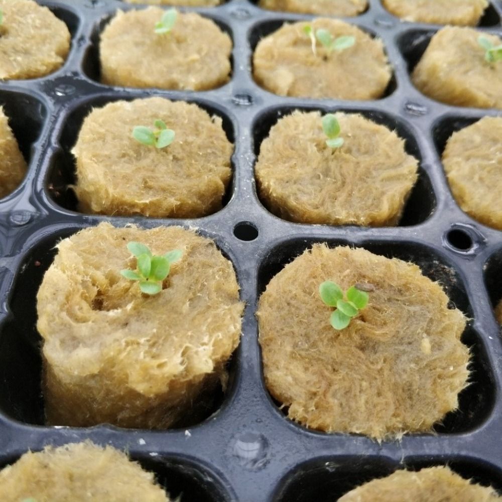 50PCS 27*20mm Size Hydroponic  - đánh giá và giá Nursery Plug Tray