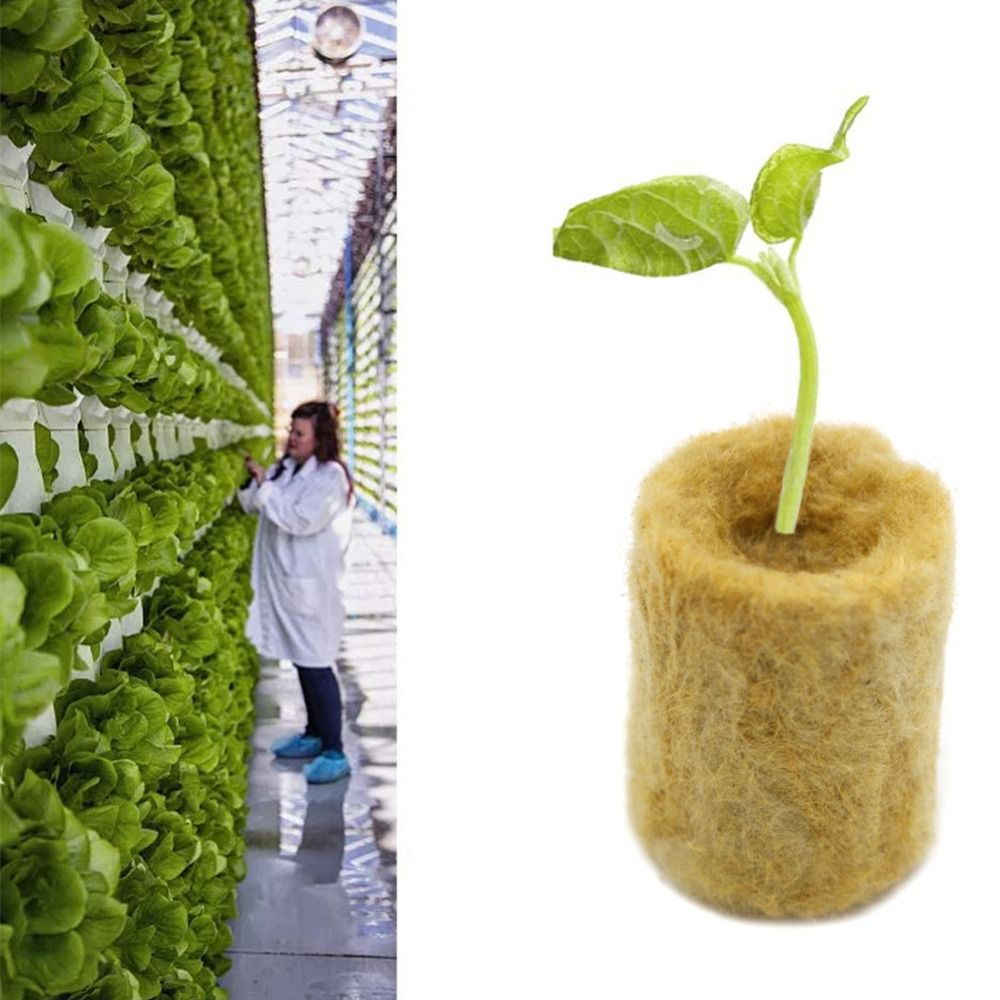 50PCS 27*20mm Size Hydroponic  - đánh giá và giá Nursery Plug Tray