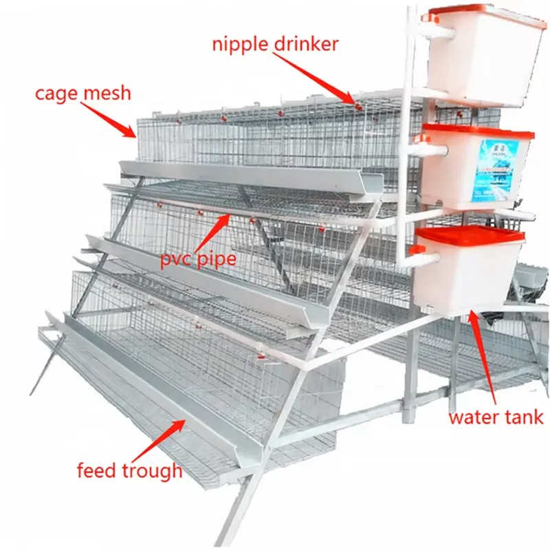 H Type Layer Cages for Poultry - đánh giá và giá Farming Africa